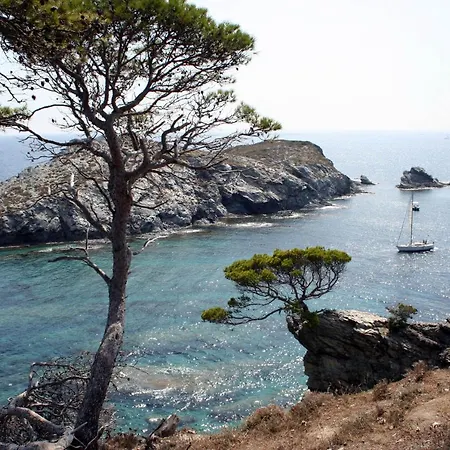 T2 Vue 50m De La A Giens Hyères
